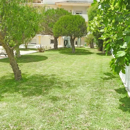 Edificio Primavera T1